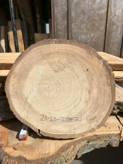 Eucalyptus